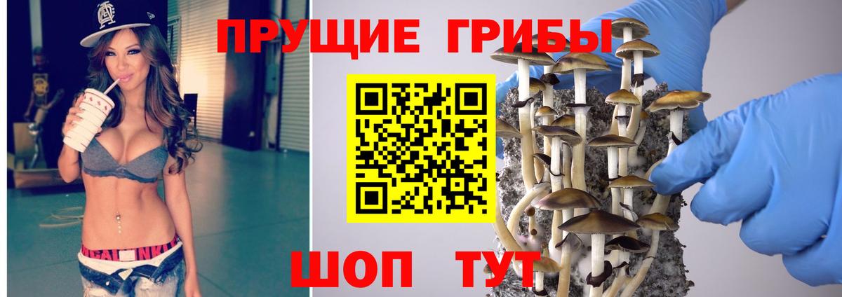 Псилоцибиновые грибы GOLDEN TEACHER Жигулёвск